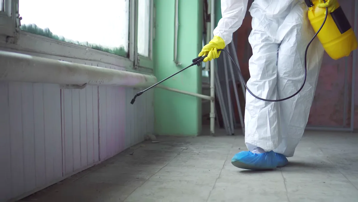 Tratamiento de carcoma en Sant Feliu de Llobregat — Fumtech