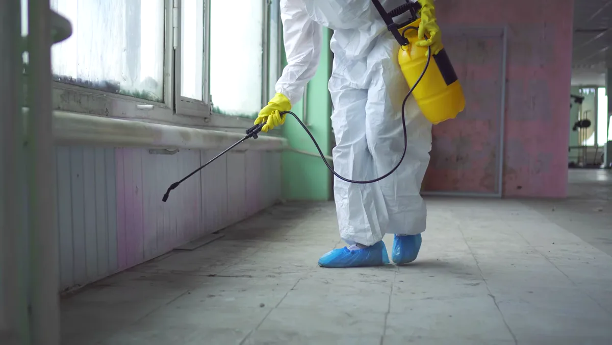 Tratamiento de pulgas en Sant Feliu de Llobregat — Fumtech