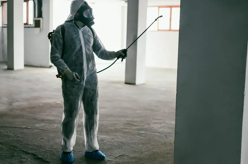Control de plagas para comunidades de vecinos en Sant Feliu de Llobregat — Fumtech
