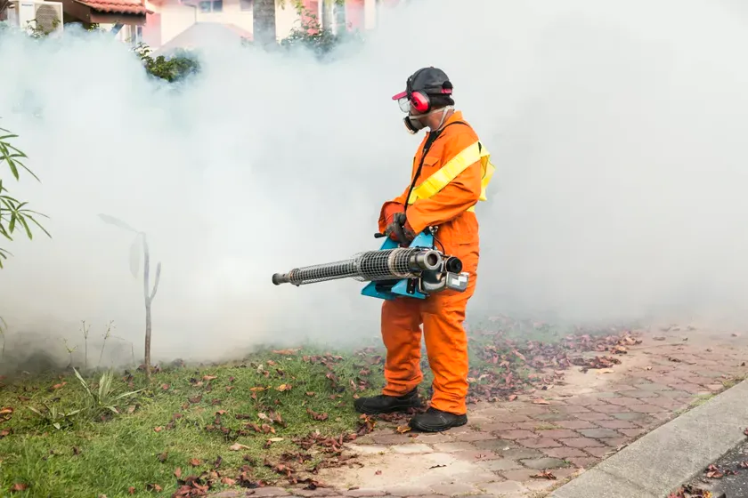 Control del mosquito tigre en Sant Feliu de Llobregat — Fumtech