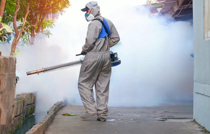 Tratamiento de moscas en Sant Feliu de Llobregat — Fumtech