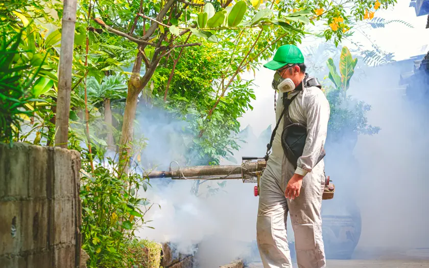 Tratamiento de mosquito tigre en Sant Feliu de Llobregat — Fumtech