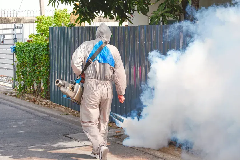 Tratamiento de mosquitos en Sant Feliu de Llobregat — Fumtech