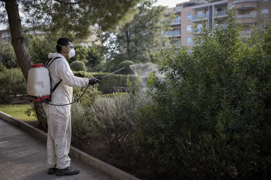 Tratamiento de procesionaria del pino en Sant Feliu de Llobregat — Fumtech